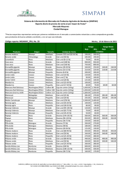 6.3. Reporte diario de precios de frutas, Mayoreo