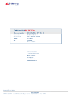 EVALUACI&Oacute;N DE RIESGO - Informes de empresas