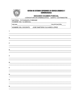 FORMATO SEGUNDO PARCIAL CESCIJUC