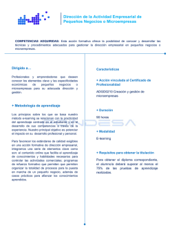 Direcci&oacute;n de la Actividad Empresarial de Peque&ntilde;os Negocios o