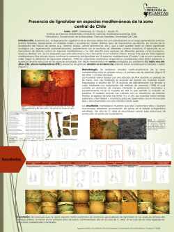 El p&oacute;ster de Consttanza se puede descargar en el siguiente link.