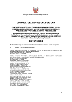 CONVOCATORIA N&ordm; 008-2014