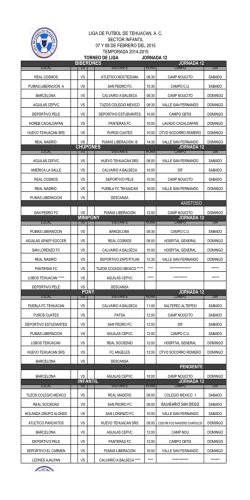 LIGA 12.xlsx - liga de futbol de tehuacan ac