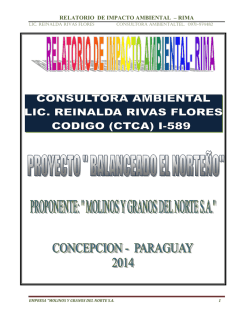 RELATORIO DE IMPACTO AMBIENTAL &ndash; RIMA