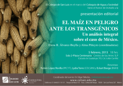 el ma&iacute;z en peligro ante los transg&eacute;nicos