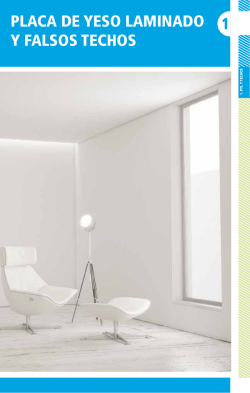 PLACA DE YESO LAMINADO Y FALSOS TECHOS 1