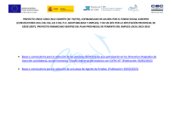 &bull; Bases y convocatoria para la selecci&oacute;n de las personas