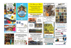 PAGINA MEIMEI SKINA PA SKINA.pmd