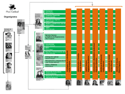 T&eacute;cnica - Plan Ceibal