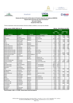 2.6. Reporte diario de precios de Hortalizas, El R&aacute;pido