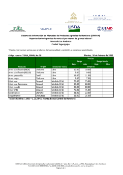3.2. Reporte diario de precios por menor, La Am&eacute;ricas, Tegucigalpa
