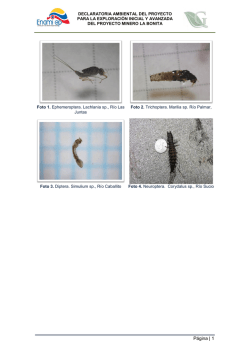 ANEXO D.4. Macroinvertebrados - MAESubsecretar&iacute;a de Calidad