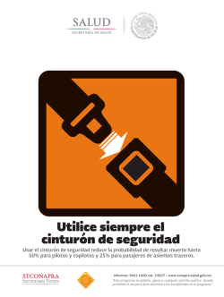 Cintur&oacute;n de Seguridad