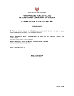 CONVOCATORIA N&deg; 004-2014-SN/CNM