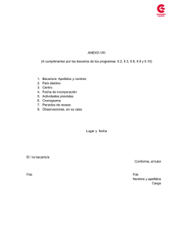 Anexo VIII Plan desarrollo beca
