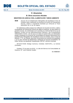 PDF del anuncio