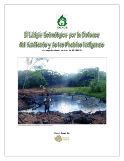 Litigio estrat&eacute;gico como mecanismo de