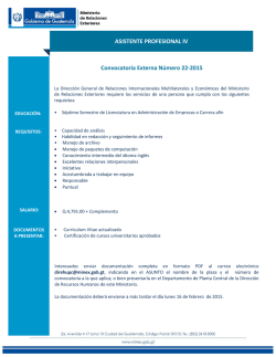 Asistente Profesional - Ministerio de Relaciones Exteriores