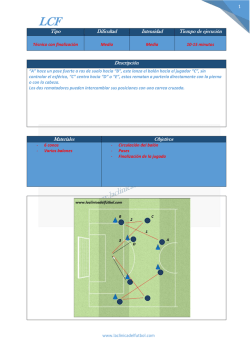 1 Tipo Dificultad Intensidad Tiempo de ejecuci&oacute;n Descripci&oacute;n