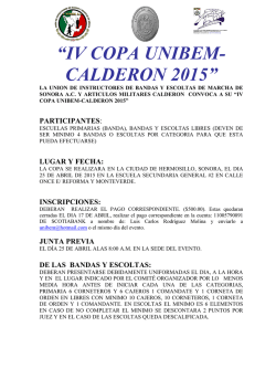 iv copa unibem-calderon 2015
