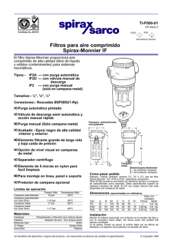 Filtro IF - Spirax Sarco