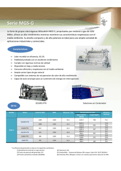 Grupo Generador Mitsubishi