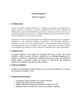 PLAN DE TRABAJO Viermes Turqueza