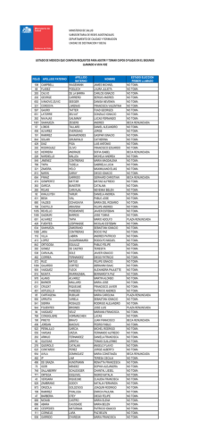 ministerio de salud subsecretaria de redes asistenciales