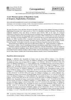 Coleoptera, Staphylinidae, Proteininae