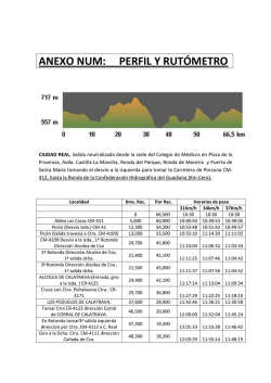 ANEXO NUM: PERFIL Y RUT&Oacute;METRO