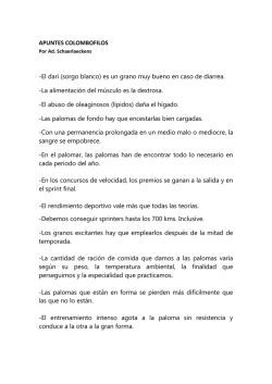 APUNTES COLOMBOFILOS -El dar&iacute; (sorgo blanco) es un grano