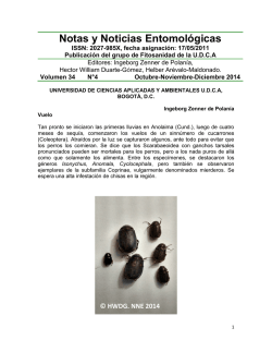 Bolet&iacute;n NNE - Volumen 34 N&uacute;mero 4