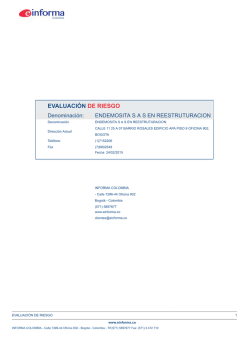 EVALUACI&Oacute;N DE RIESGO - Informes de empresas