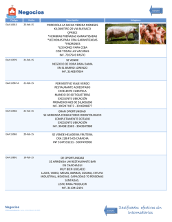 Negocios - Amorel Pasto