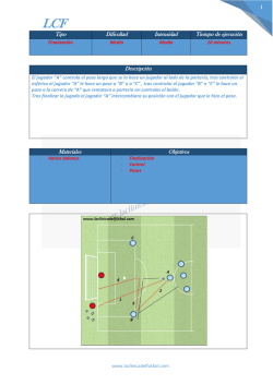 1 Tipo Dificultad Intensidad Tiempo de ejecuci&oacute;n Descripci&oacute;n