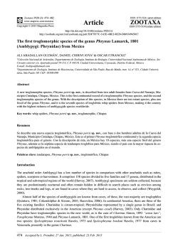 The first troglomorphic species of the genus