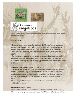 Cotos menor, becada,codorniz