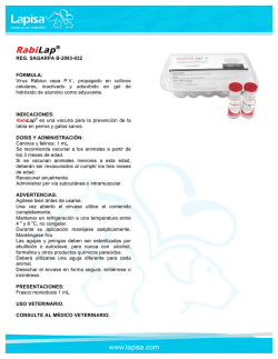 RabiLap&reg; - Lapisa SA de CV