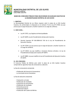 MUNICIPALIDAD DISTRITAL DE LOS OLIVOS