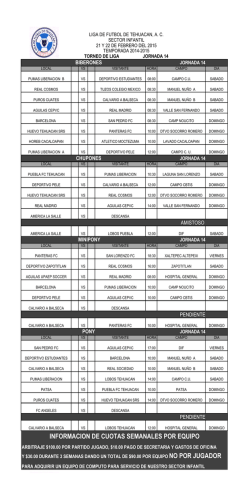 LIGA 14.xlsx - liga de futbol de tehuacan ac