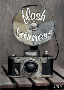 cat&aacute;logo flash farners