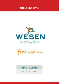 Termos Wesen Silver Flat - solucionesintegralesendesa
