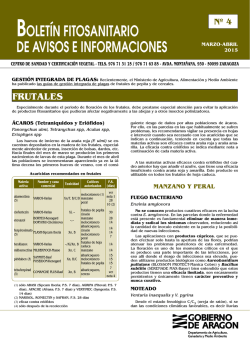 Bolet&iacute;n 4 - Gobierno de Arag&oacute;n