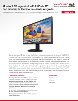 Monitor LED ergon&oacute;mico Full HD de 28" con montaje