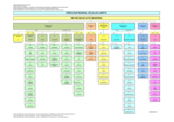 Organigrama - Red de Salud de Alto Amazonas