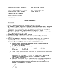 Hoja de trabajo No. 5 QOI 20015