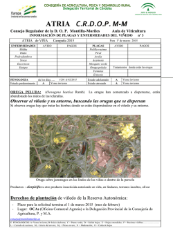 Bolet&iacute;n Atria n&uacute;mero 3 marzo de 2015