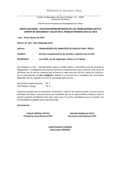 Ministerio de Agricultura y Riego JUNTA ELECTORAL &ndash;ELECCION