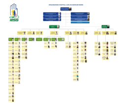 ORGANIGRAMA HOSPITAL CARLOS ANDRADE MAR&Iacute;N