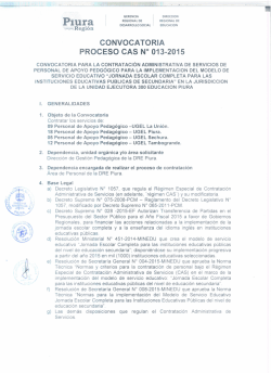 convocatoria cas n 13